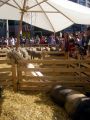 2010 05 24 jeanmarcperfetti.com 081.JPG